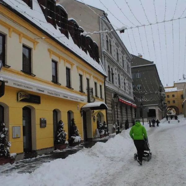 Penzión ÁTRIUM, hotel in Prešov
