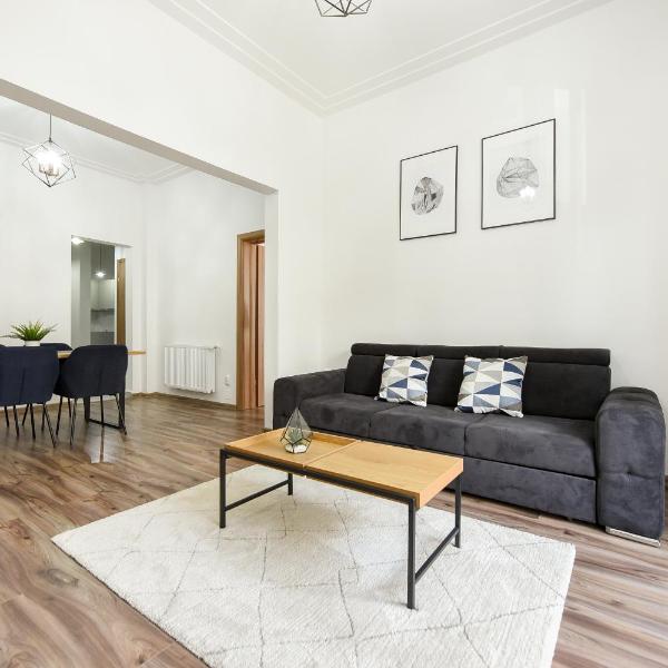 SIMPLE YET STYLISH. Piata Revolutiei Apartment