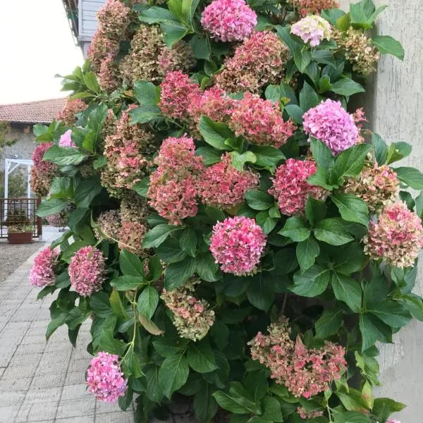 Casa Ortensia, hôtel à Chiusi della Verna