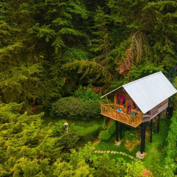 Los Naranjos Town Houses、Los Naranjosのホテル