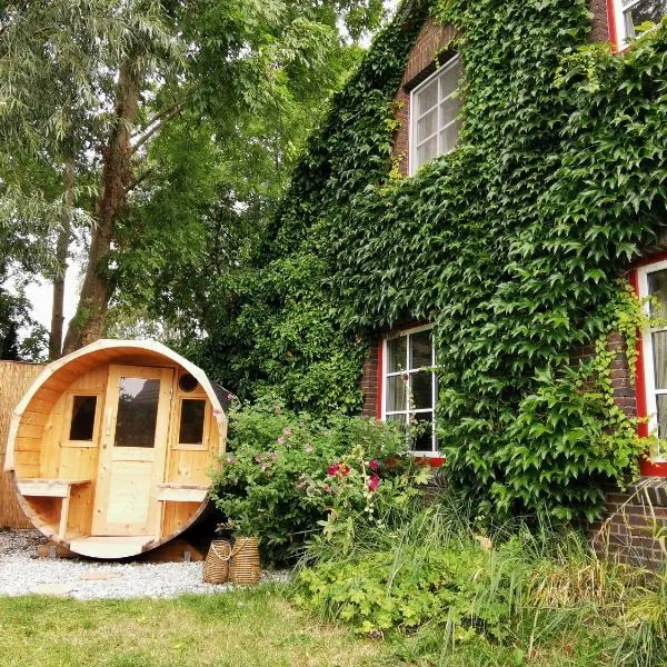 Haus am Deich, hotel in Kollmar