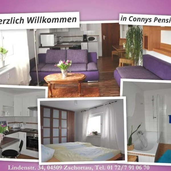 Conny's Bistro und Pension, ξενοδοχείο σε Rackwitz