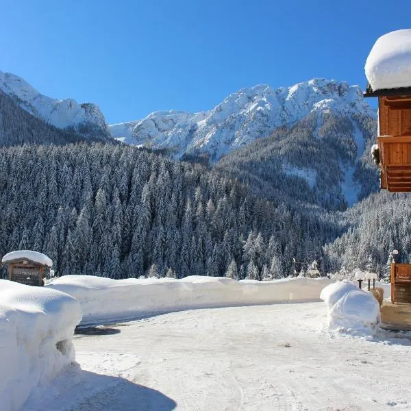 ALMRESIDENZ UNTERRAIN -1 km BY CAR DISTANCE SKI SLOPES KRONPLATZ, khách sạn ở Valdaora