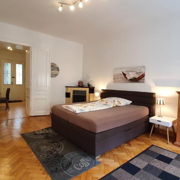 Gorgeous Viennese Apartment 10 min to City Center