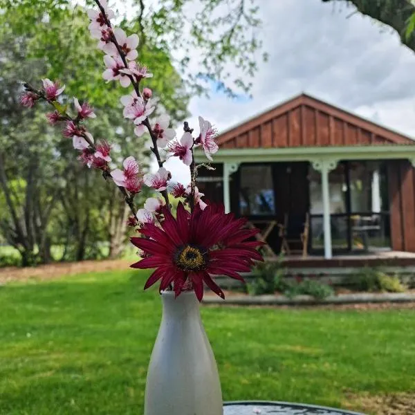 Seabreeze Holiday Park, hotel in Hotwater Beach