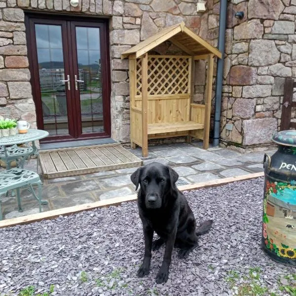 Conwy Pen Cefn Farm Holiday、アベルゲレのホテル