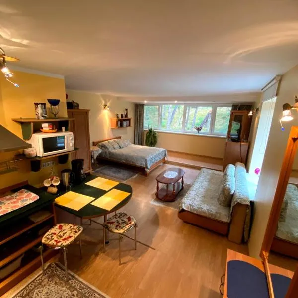 Apartamentai Nidoje, hotel v destinaci Nida