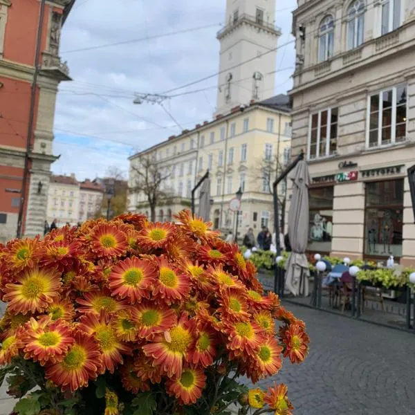 Апартаменти в центрі міста，位于利沃夫的酒店
