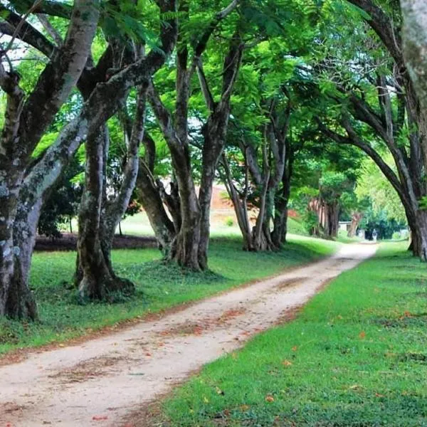 Idle & Wild Chalet, Hotel in Hazyview