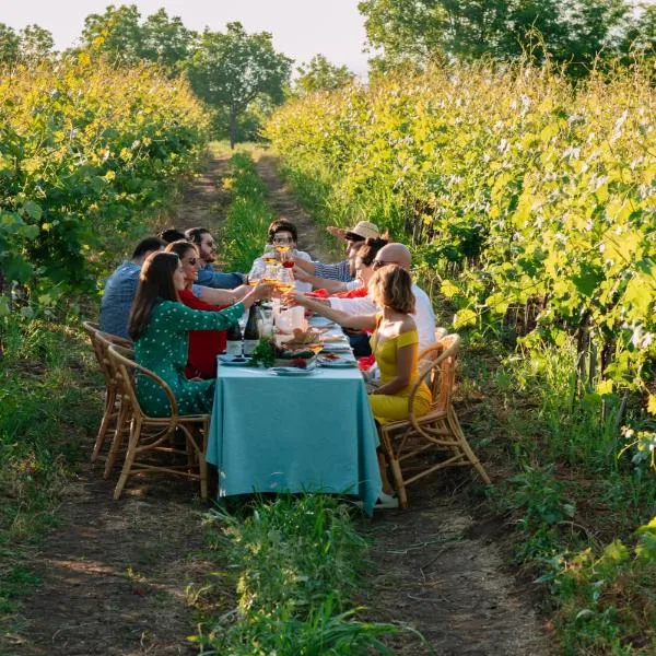 Vazisubani Estate, ξενοδοχείο σε Vazisubani