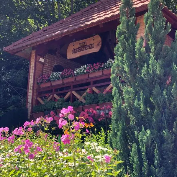 Villa Anastasoski, hotel in Mavrovo