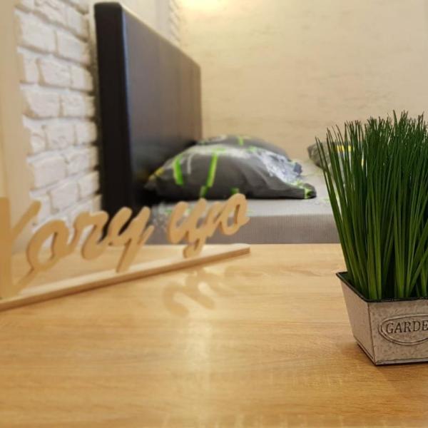 NEW Luxury Studio Apartment