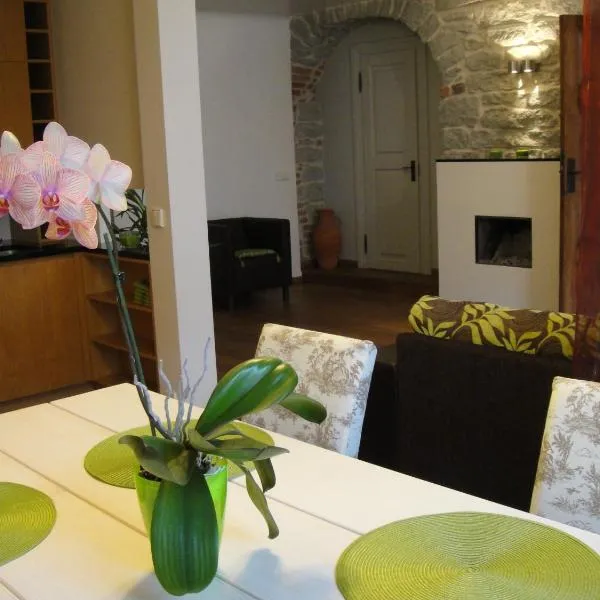 Old Town Apartment, hotel in Tallinn