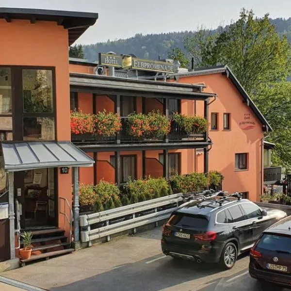 Hotel Elbpromenade, hôtel à Bad Schandau