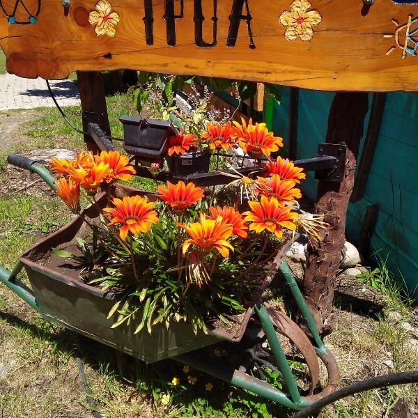 Cabaña Accesible Ipua