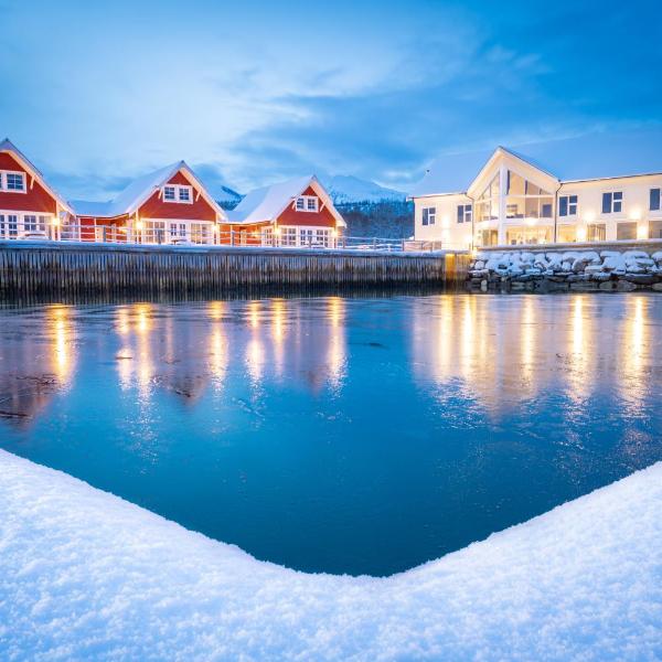 Senja Fjordhotell and Apartments