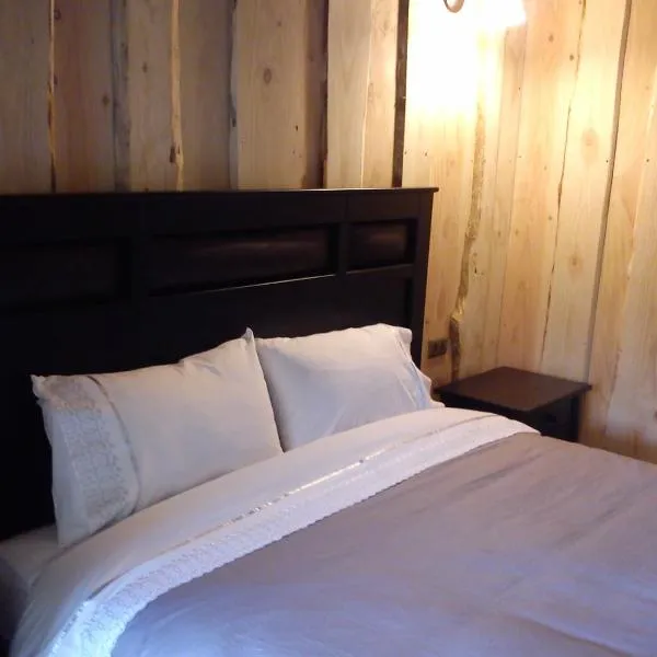 Hostal Los Alamos Neltume, готель у місті Нельтуме