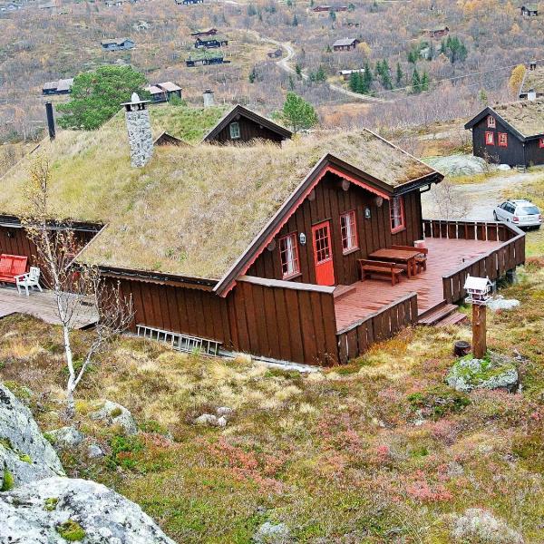 11 person holiday home in Edland