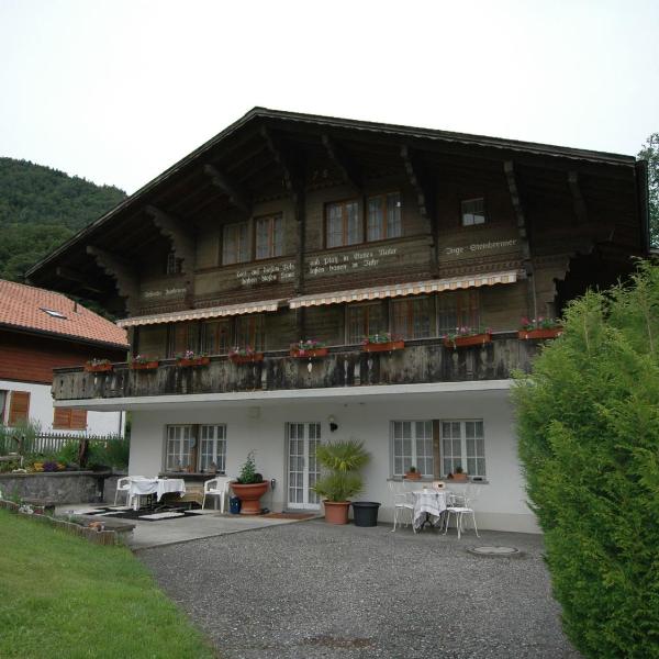 Pristine home in a charming village large grassy sunbathing area view of the M nch and Jungfrau