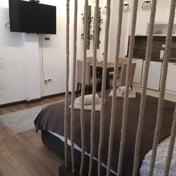 Vilovski, hotel in Vračar (historical)
