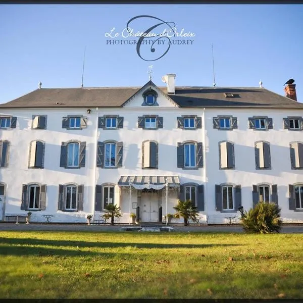 Le Château d'Orleix, hotel v destinaci Orleix