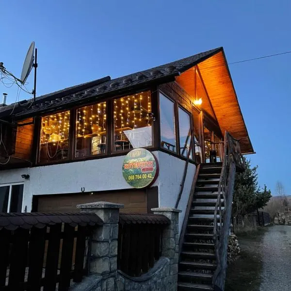 Guesthouse Karpaty, hotel em Yasinya