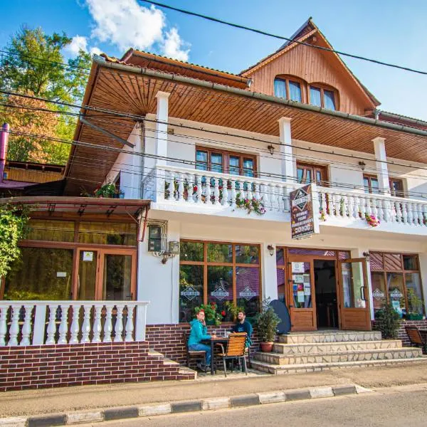 Casa Albă, ξενοδοχείο σε Baia de Aramă