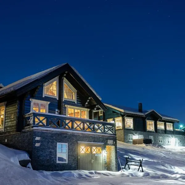 Mosetertoppen Panorama anneks 3B, hotel in Hafjell