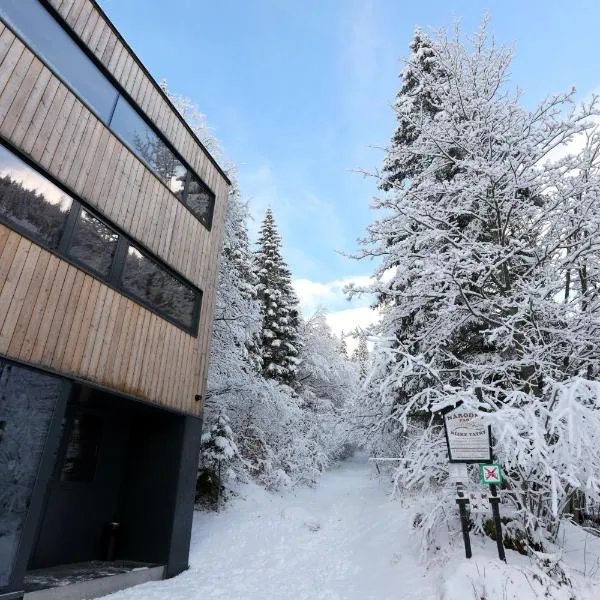 Chata Zázvor, Hotel in Tale