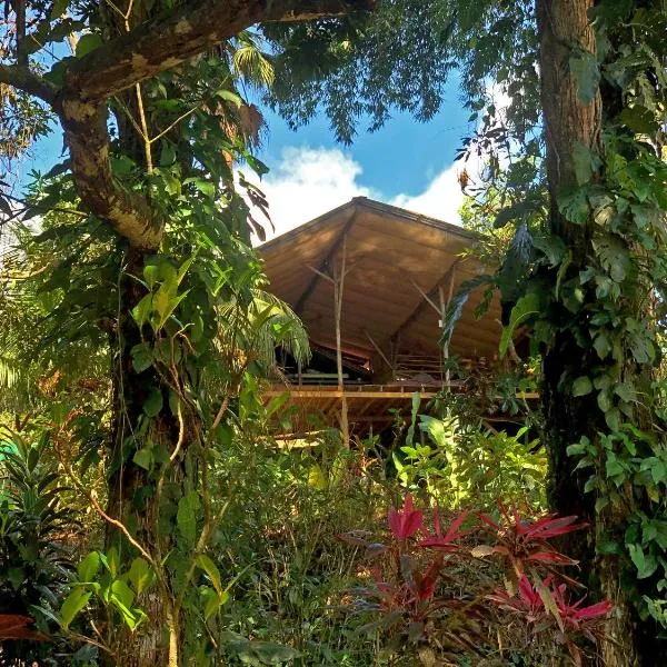 Cascada Verde Eco Lodge & Hostel, ξενοδοχείο σε Uvita