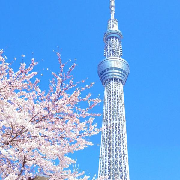 Peace Inn Skytree Tokyo