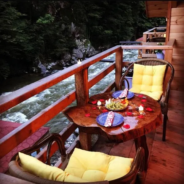 Hoşdere Bungalov, hotel v destinaci Çamlıhemşin