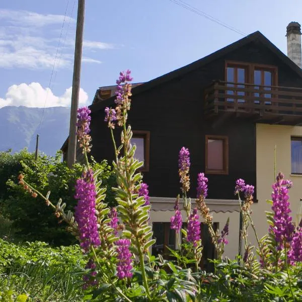 Les Soldanelles, hotel v destinaci Salvan