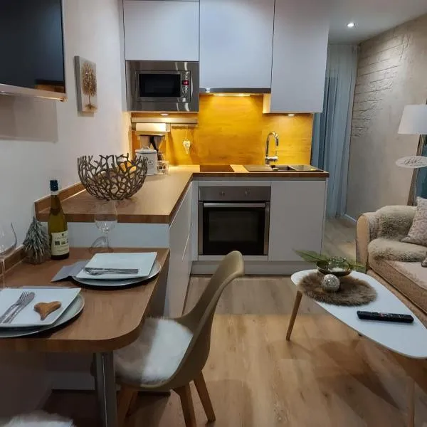 Bodensee Ferienwohnung Claudia 1, hotel in Friedrichshafen