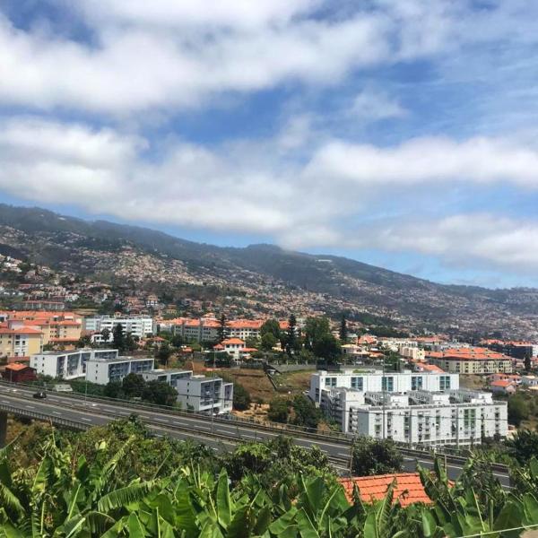 One bedroom house with sea view terrace and wifi at Funchal 4 km away from the beach