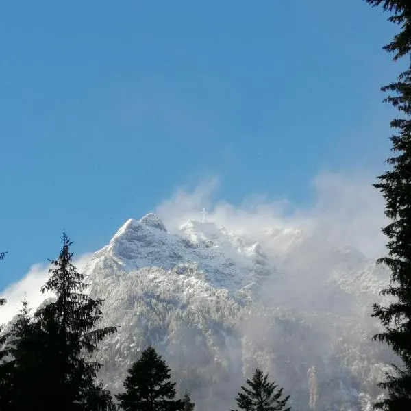 HOSTEL CPPI Vest, hotel in Buşteni