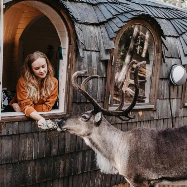 Igluhut – Sleep with reindeer, hotel in Espoo