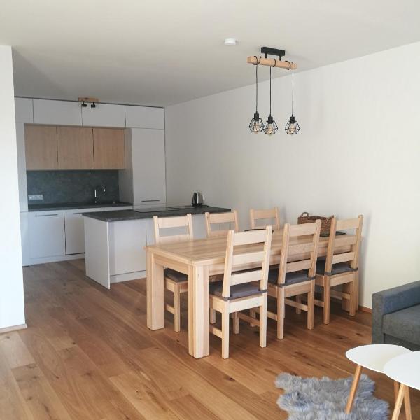 Apartman Hechlstein v Tauplitz