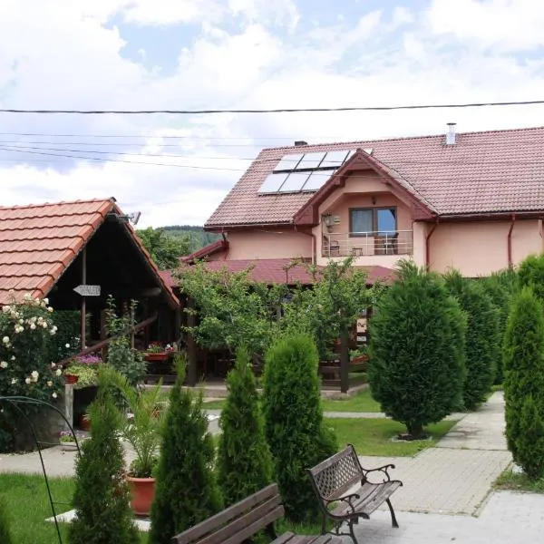 Pensiunea Andreea, hotell i Baia de Fier