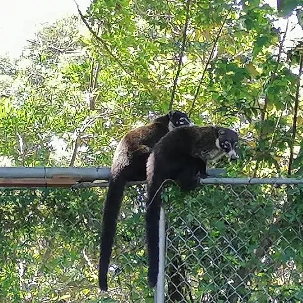 Nature house, hotel in Monteverde Costa Rica