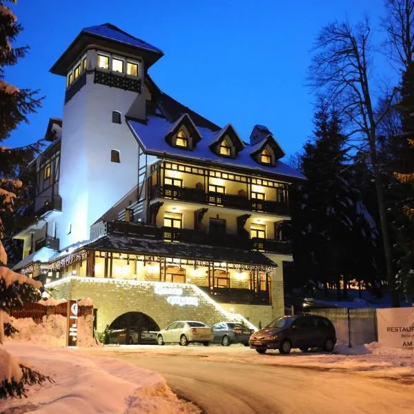 Hotel Foisorul cu Flori, מלון בסינאיה