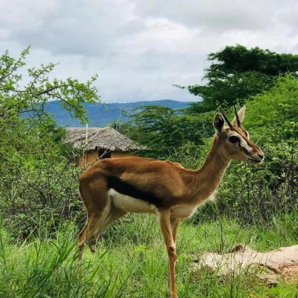 Oldonyo Orok Lodge，位于Kajiado的酒店