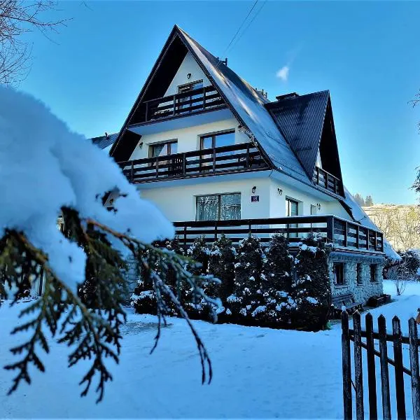 Pokoje u Teresy, hotel in Czarna Góra