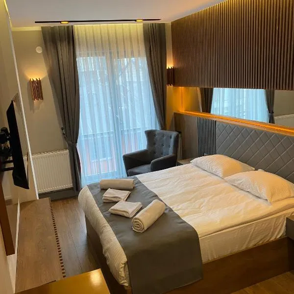 Sarıkamış Aras Otel, hotel in Sarıkamıs