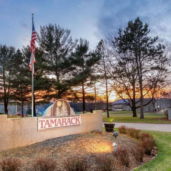 Tamarack Wisconsin Dells, a Ramada by Wyndham, готель у місті Вісконсин-Деллс