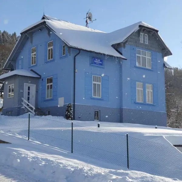 BLUE PENSiON, hotel ve Svobodě nad Úpou