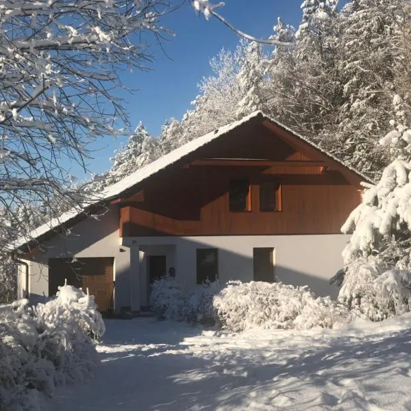 Villapark apartments 201, Lipno, ξενοδοχείο σε Lipno nad Vltavou