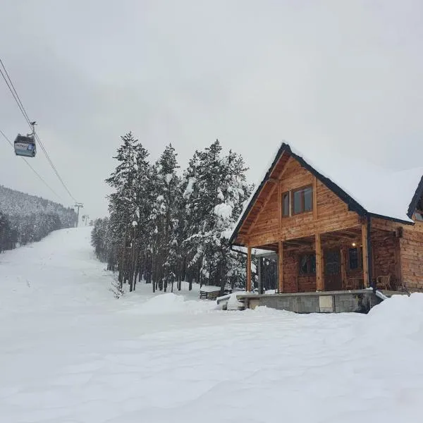 Tornik Brvnara Ljubojevic, hotel en Tornik