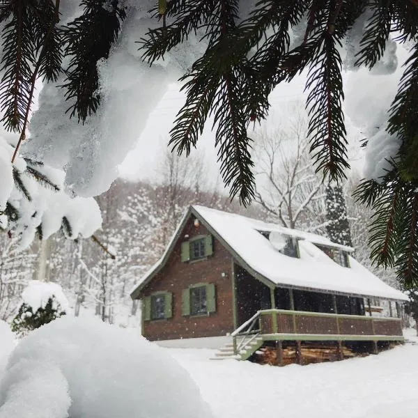 Karak Chalet, hotel v destinaci Izvoare