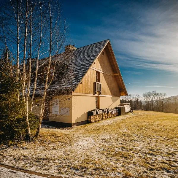 Horský apartmán U Lesa Říčky,位于日茄基的酒店